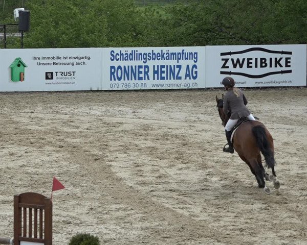 Reitturnier Wädenswil 2021