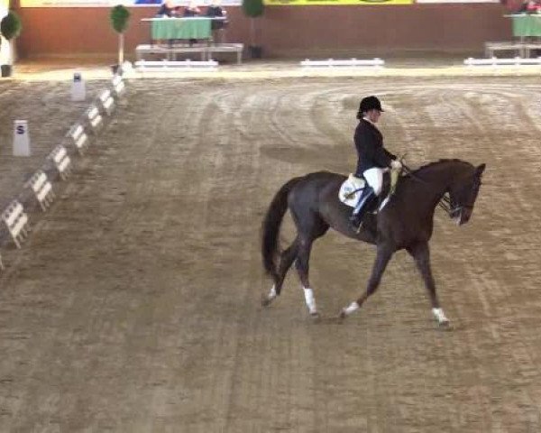broodmare Francis (Rhinelander, 2003, from Feinsinn)