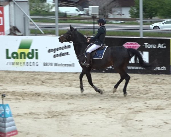 Reitturnier Wädenswil 2021