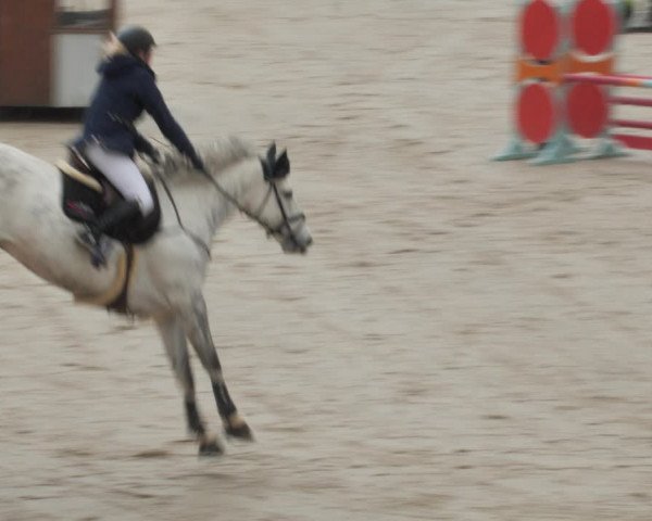 Reitturnier Westergellersen 2021