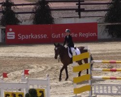 Cavallo Balu 503 (sconosciuto, 2005, di Wolkenball)