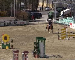 broodmare Corona 110 (Westphalian, 2009, from Coronas 2)