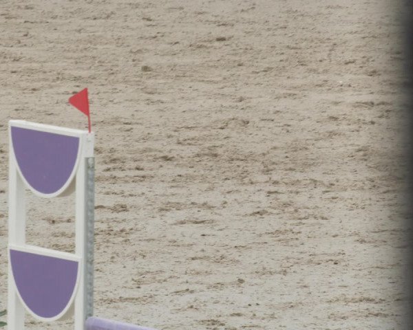 Reitturnier Westergellersen 2021