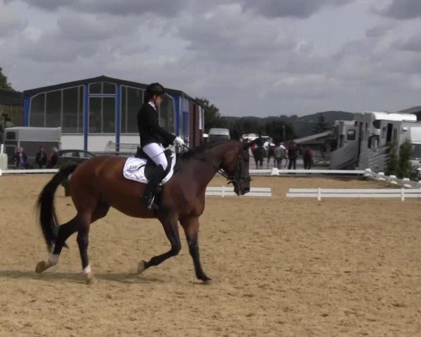 broodmare Flying Princess 5 (Westphalian, 2004, from Florestan I) broodmare Flying Princess 5 (Westphalian, 2004, from Florestan I)