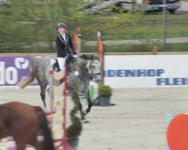 Reitturnier Westergellersen 2021
