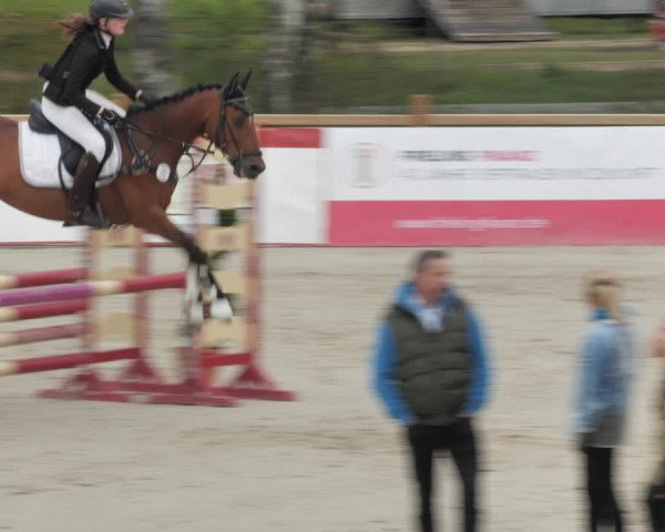 Reitturnier Westergellersen 2021