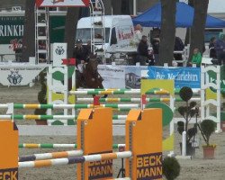 jumper Navaro 50 (unknown, 2008)
