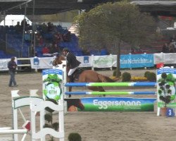 jumper Bossanova 30 (Swedish Warmblood, 2008, from Hip Hop)
