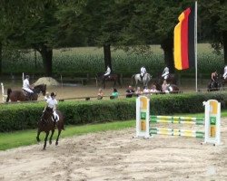 jumper Lortino 2 (Holsteiner, 1999, from Lortino)