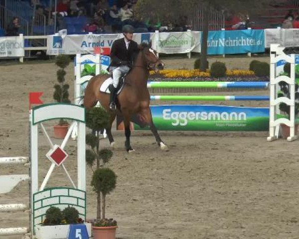 jumper Enrico (Rhinelander, 2006, from Extasy 6)