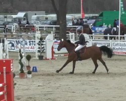 broodmare Casa Latina (Westphalian, 2001, from Calido I)