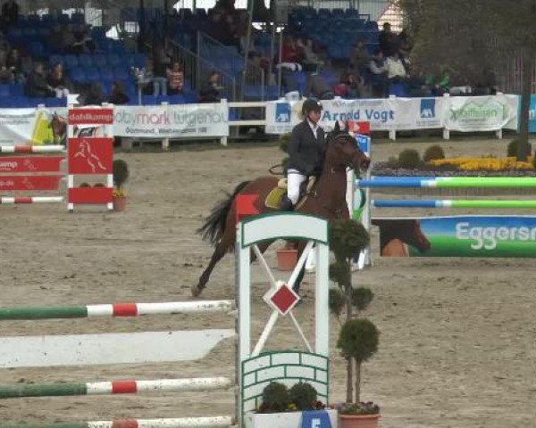 jumper Latina 134 (Oldenburg, 1999, from Lordanos)