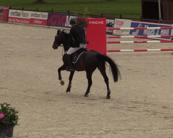 Reitturnier Westergellersen 2021