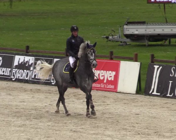 Reitturnier Westergellersen 2021