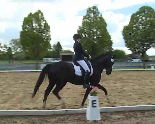 Reitturnier Aulendorf 2021