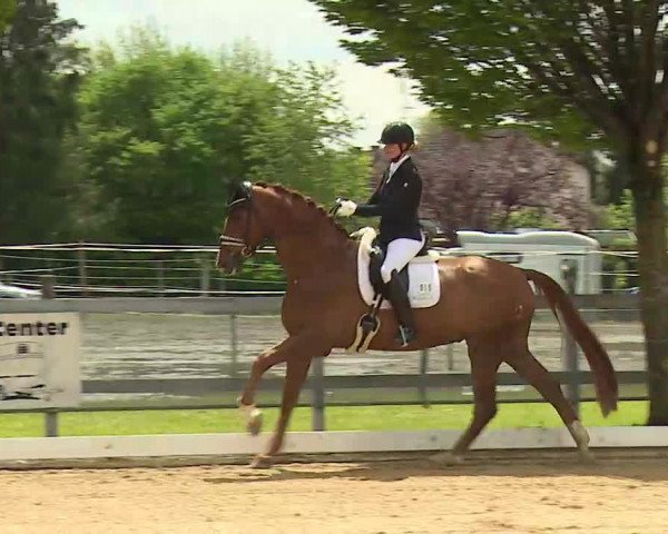 Reitturnier Aulendorf 2021