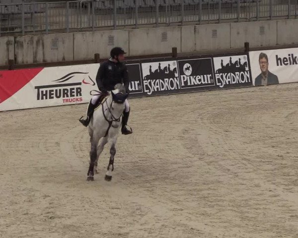 Reitturnier Westergellersen 2021