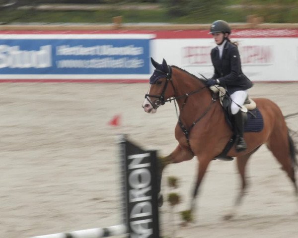 Reitturnier Westergellersen 2021