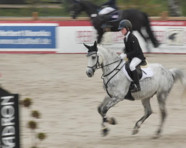 Reitturnier Westergellersen 2021