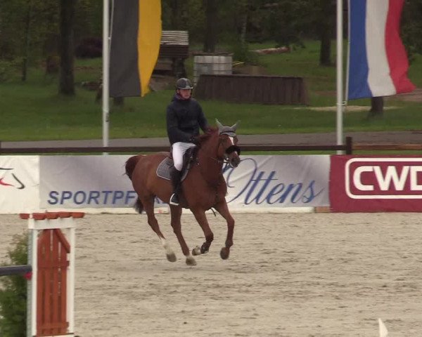 Reitturnier Westergellersen 2021