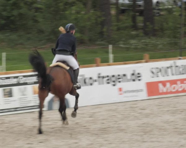 Reitturnier Westergellersen 2021