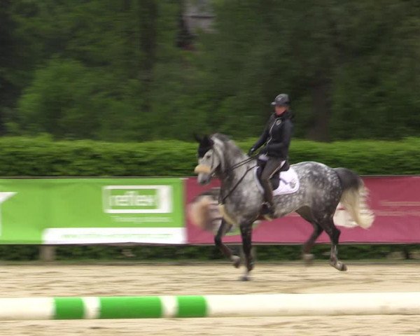 Reitturnier Münster-Handorf 2021
