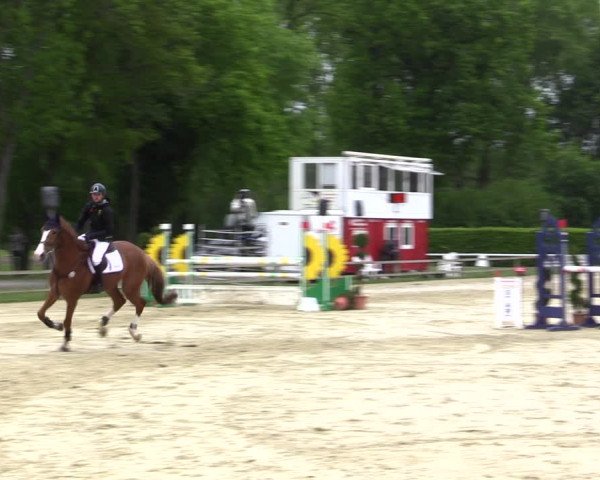 Reitturnier Münster-Handorf 2021