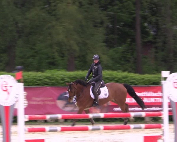 Reitturnier Münster-Handorf 2021
