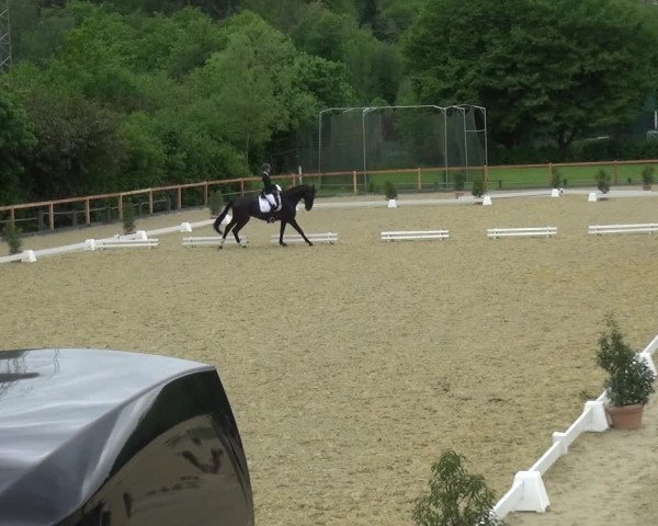 Reitturnier Leichlingen 2021