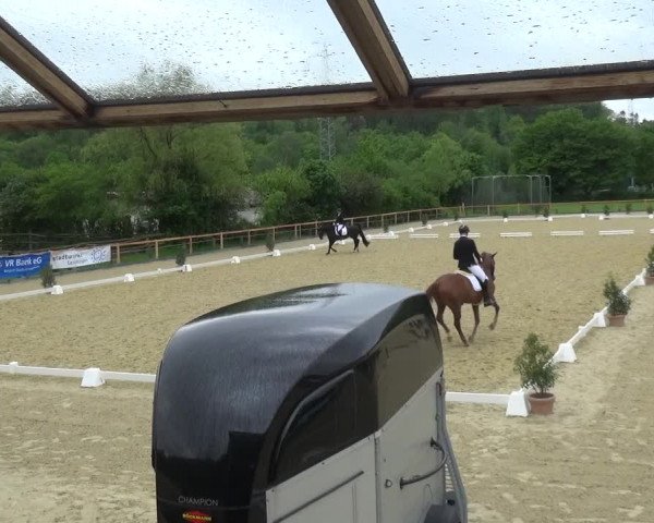 Reitturnier Leichlingen 2021