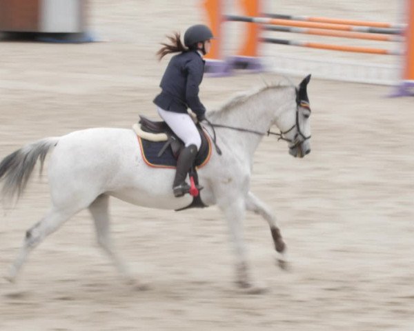 Reitturnier Westergellersen 2021