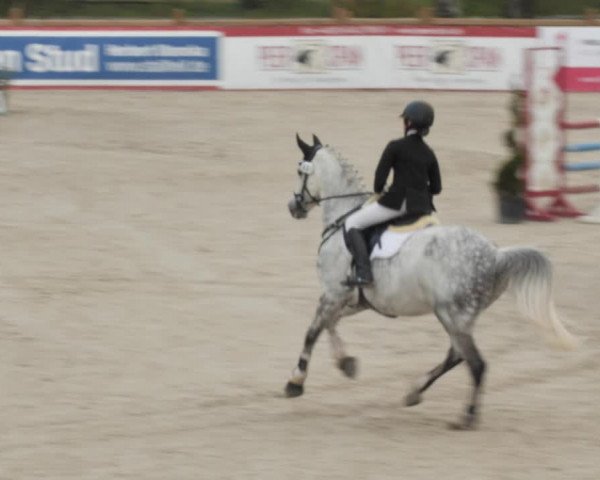 Reitturnier Westergellersen 2021