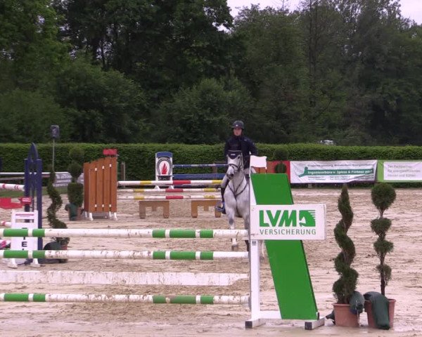 Reitturnier Münster-Handorf 2021