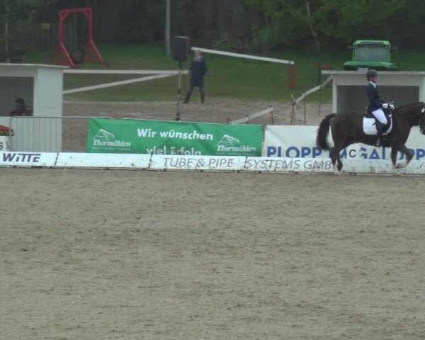 Reitturnier Rastede-Nethen 2021