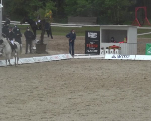 Reitturnier Rastede-Nethen 2021