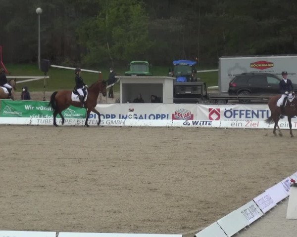 Reitturnier Rastede-Nethen 2021