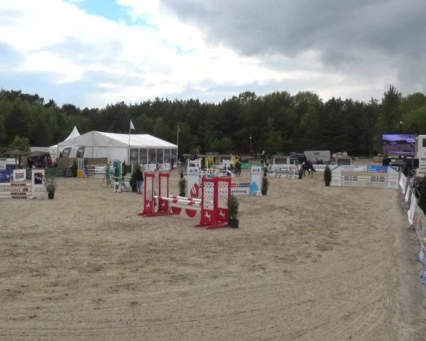 Reitturnier Rastede-Nethen 2021