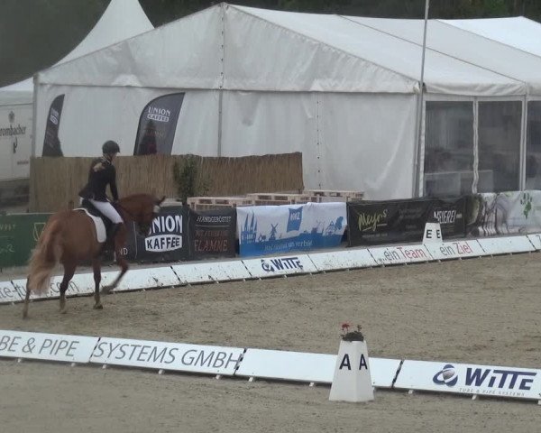 Reitturnier Rastede-Nethen 2021