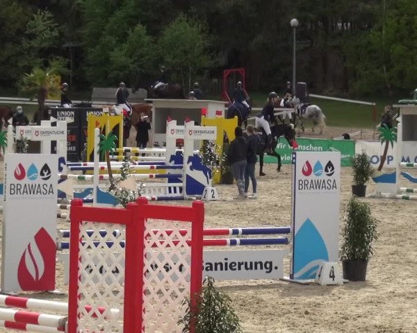 Reitturnier Rastede-Nethen 2021