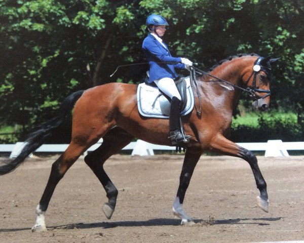 dressage horse De Luxe 59 (Hanoverian, 2009, from Don Frederico)