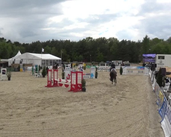 Reitturnier Rastede-Nethen 2021