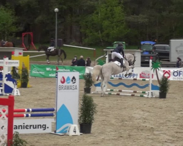 Reitturnier Rastede-Nethen 2021
