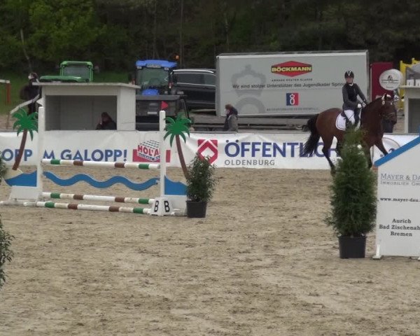 Reitturnier Rastede-Nethen 2021