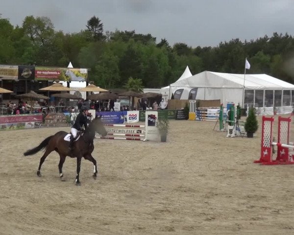 Reitturnier Rastede-Nethen 2021