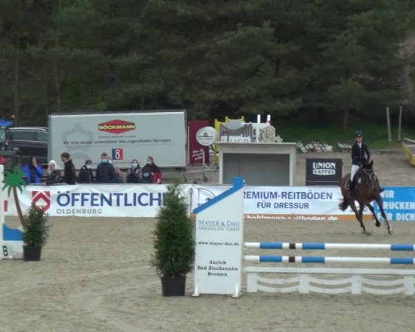 Reitturnier Rastede-Nethen 2021