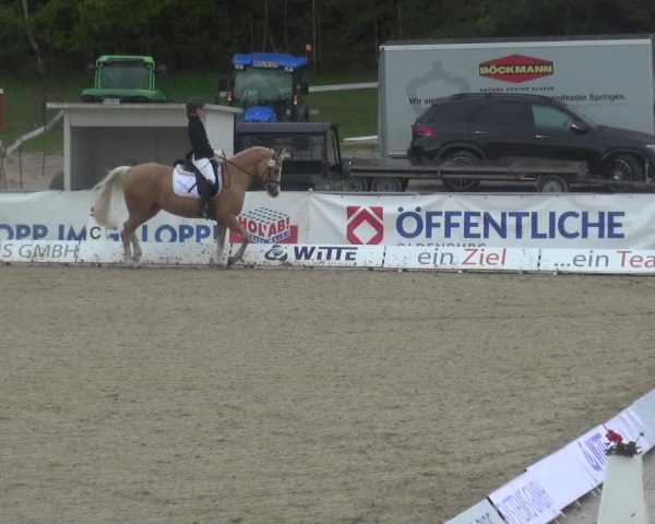 Reitturnier Rastede-Nethen 2021