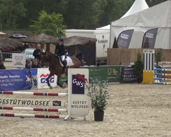 Reitturnier Rastede-Nethen 2021