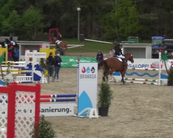 Reitturnier Rastede-Nethen 2021