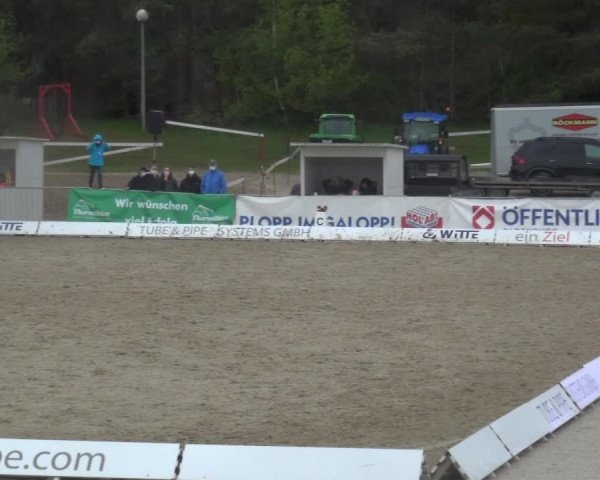 Reitturnier Rastede-Nethen 2021