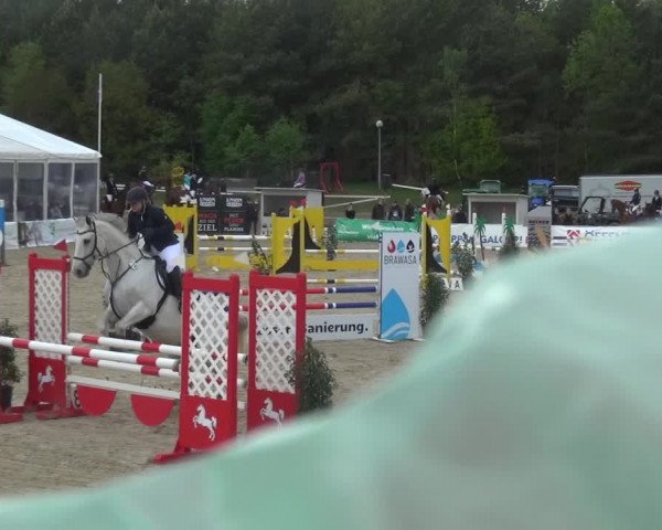 Reitturnier Rastede-Nethen 2021